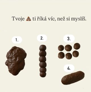 Stolice je jeden z nejpřesnějších signálů toho, jak se ti daří – uvnitř. Říká ti, jestli trávíš správně, jestli jsi...