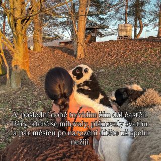 Tohle je fáze, o které se pořád málo mluví. Tělo se hojí. Hormony padají. Psychika se houpe. Není divu, že vztahy se po...